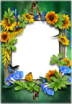 PhotoEffect da categoria Diversos № 205611 PhotoEffect da categoria Diversos № 205611