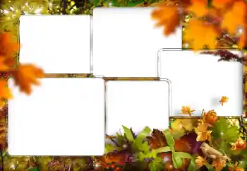 PhotoEffect da categoria Diversos № 205794