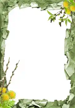 PhotoEffect da categoria Diversos № 205798 PhotoEffect da categoria Diversos № 205798