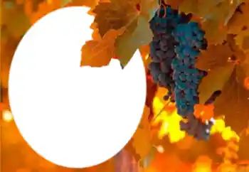 PhotoEffect da categoria Diversos № 205802 PhotoEffect da categoria Diversos № 205802