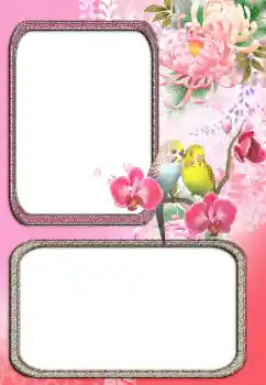 PhotoEffect da categoria Diversos № 24272