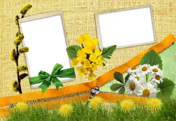 PhotoEffect da categoria Diversos № 24285