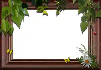 PhotoEffect da categoria Diversos № 24288