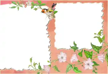 PhotoEffect da categoria Diversos № 24418