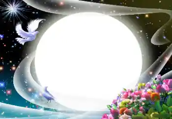 PhotoEffect da categoria Diversos № 24510