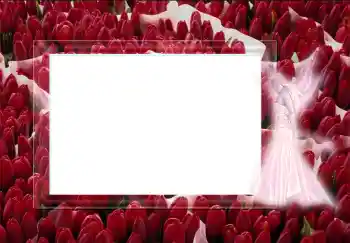 PhotoEffect da categoria Diversos № 2452