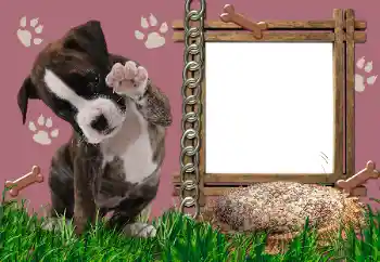 PhotoEffect da categoria Diversos № 24550