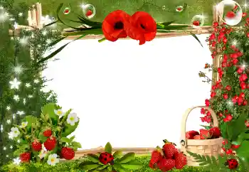 PhotoEffect da categoria Diversos № 25445