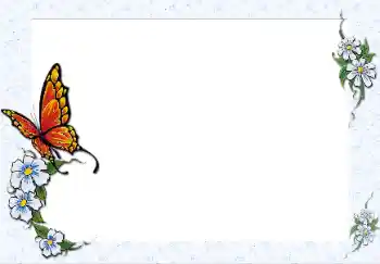 PhotoEffect da categoria Diversos № 25467