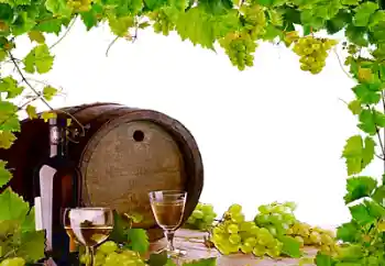 PhotoEffect da categoria Diversos № 26443