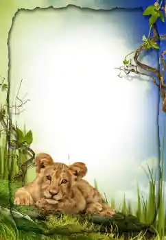 PhotoEffect da categoria Diversos № 26572