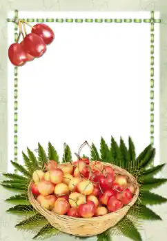 PhotoEffect da categoria Diversos № 2657