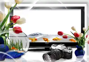 PhotoEffect da categoria Diversos № 26669