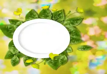 PhotoEffect da categoria Diversos № 26737