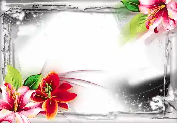 PhotoEffect da categoria Diversos № 2804