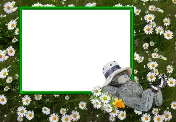 PhotoEffect da categoria Diversos № 2893