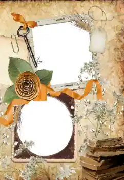 PhotoEffect da categoria Diversos № 33766