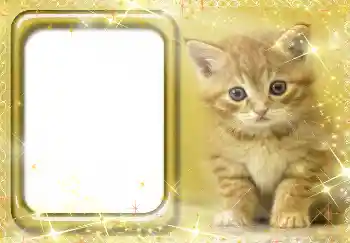 PhotoEffect da categoria Diversos № 3412