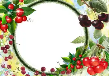 PhotoEffect da categoria Diversos № 3416