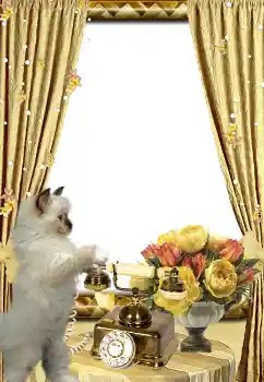 PhotoEffect da categoria Diversos № 3419