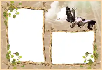 PhotoEffect da categoria Diversos № 3430