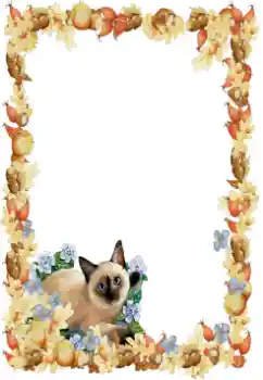 PhotoEffect da categoria Diversos № 34851