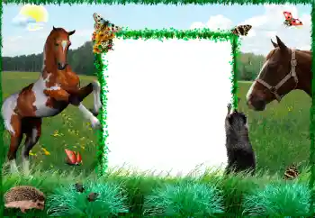 PhotoEffect da categoria Diversos № 34915