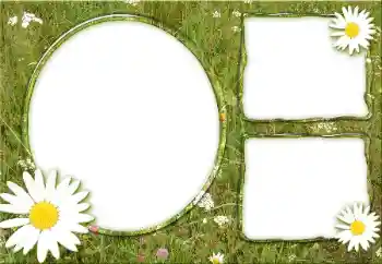 PhotoEffect da categoria Diversos № 34932