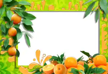 PhotoEffect da categoria Diversos № 36215