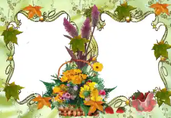 PhotoEffect da categoria Diversos № 36278