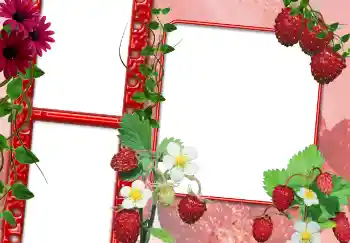 PhotoEffect da categoria Diversos № 3703