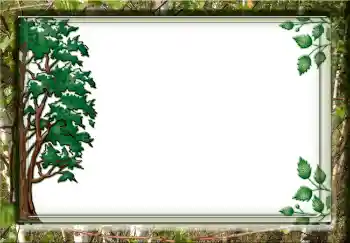 PhotoEffect da categoria Diversos № 3732