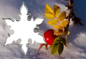 PhotoEffect da categoria Diversos № 38548