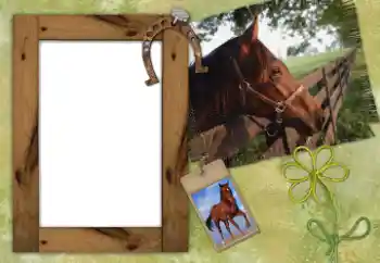 PhotoEffect da categoria Diversos № 38802