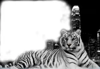 PhotoEffect da categoria Diversos № 38947