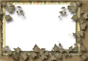 PhotoEffect da categoria Diversos № 39069