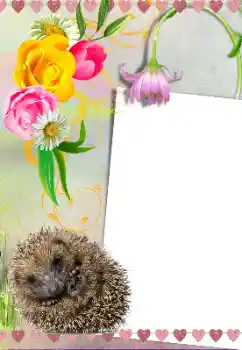 PhotoEffect da categoria Diversos № 39281