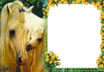 PhotoEffect da categoria Diversos № 40511