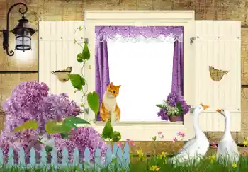 PhotoEffect da categoria Diversos № 42597