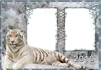 PhotoEffect da categoria Diversos № 45917