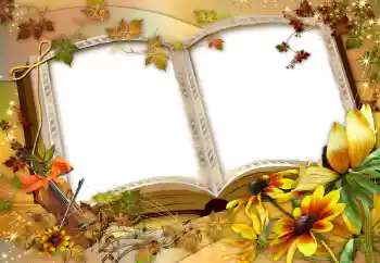 PhotoEffect da categoria Diversos № 47137