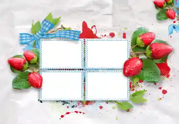 PhotoEffect da categoria Diversos № 47209