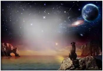 PhotoEffect da categoria Diversos № 49504