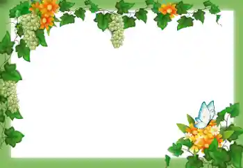 PhotoEffect da categoria Diversos № 49547