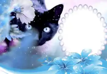 PhotoEffect da categoria Diversos № 50647