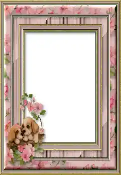 PhotoEffect da categoria Diversos № 50746