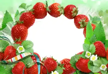 PhotoEffect da categoria Diversos № 50874