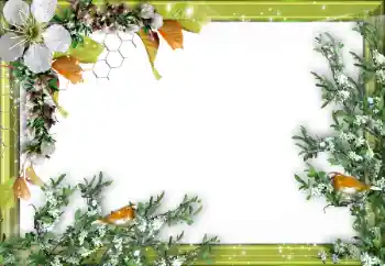 PhotoEffect da categoria Diversos № 52034