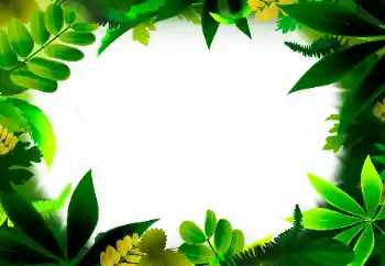 PhotoEffect da categoria Diversos № 56530