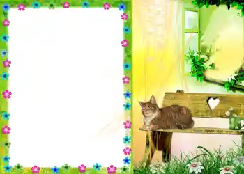 PhotoEffect da categoria Diversos № 579